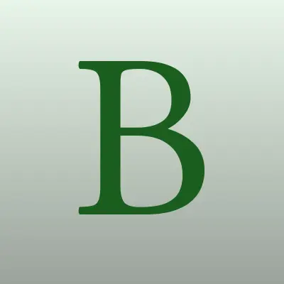 BT Moscow.ru, интернет-магазин бытовой техники, лого-визитка